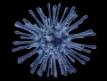 Virus infected cell.jpg