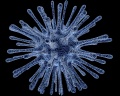 Virus infected cell 400-320.jpg